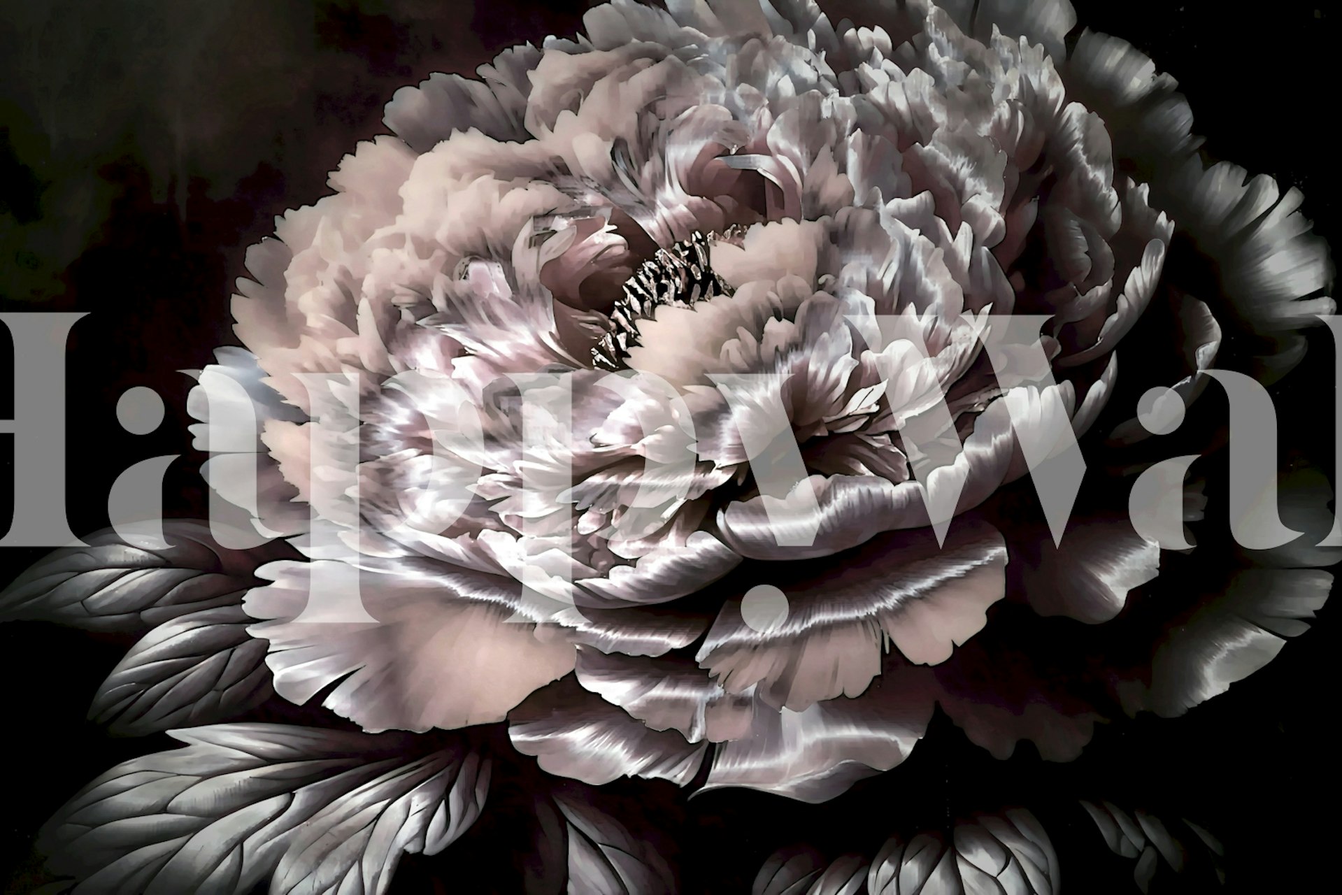 Velvety Peony Dream tapetti huoneessa