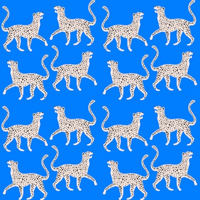 Modèle