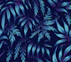 Fernleaf Aralia - Blue