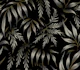 Fernleaf Aralia - Black