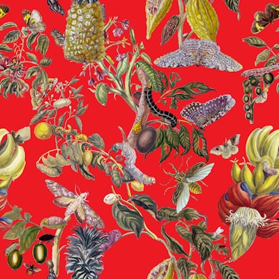 Pattern