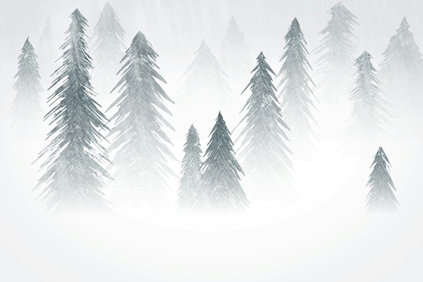 Snowing Forest