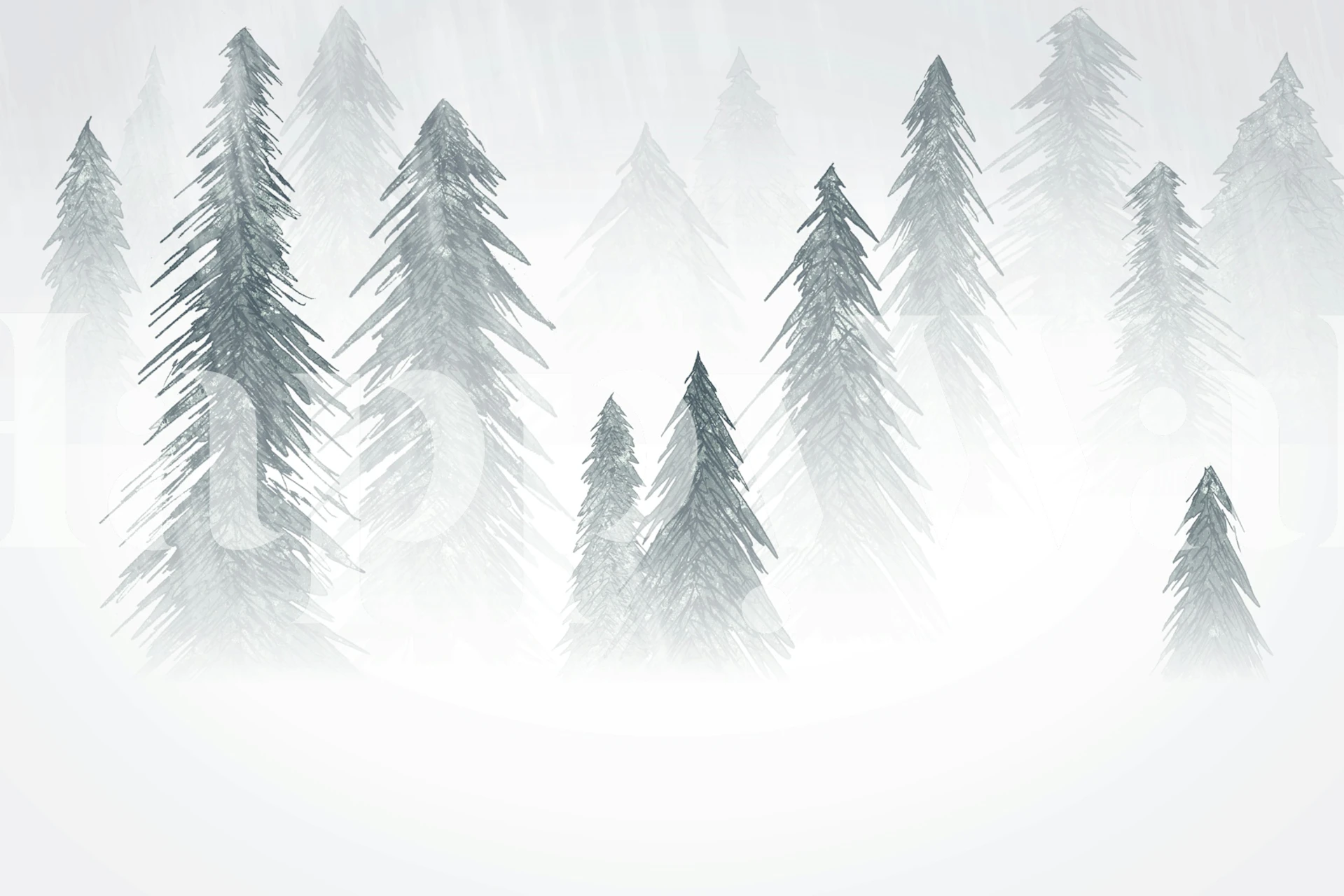 Snowing forest landscape with tall pine trees and grey tones wallpaper
