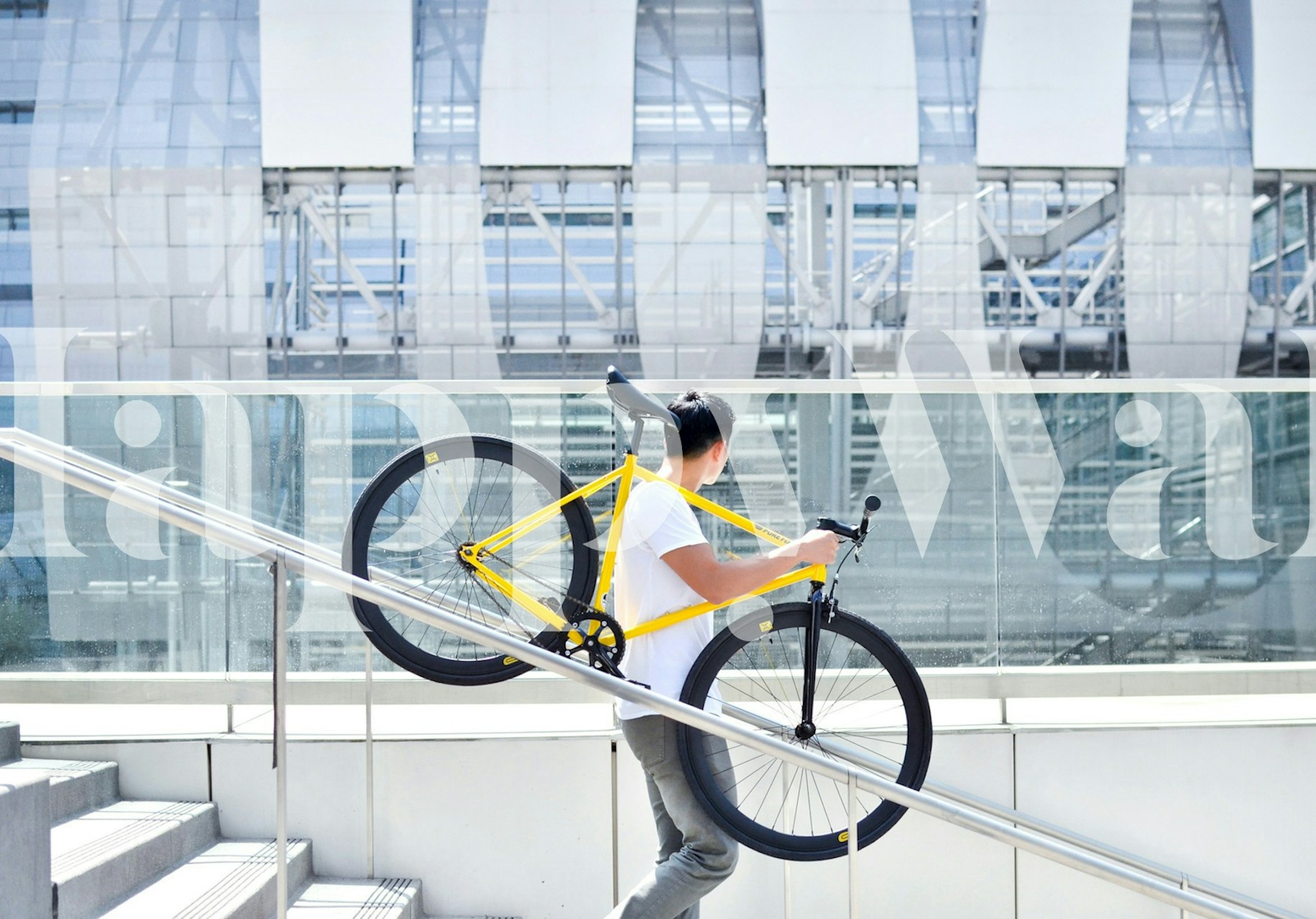 Man carrying a yellow bike against a modern building wallpaper