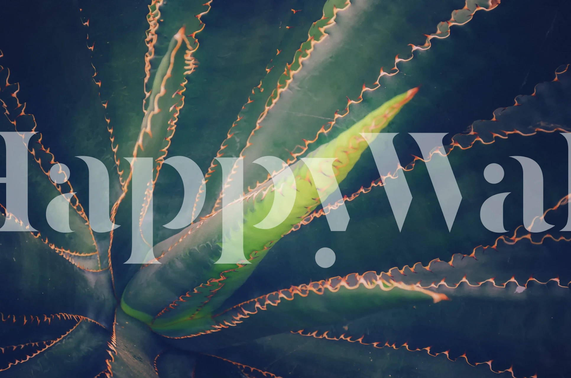 Agave projekt tapety w pokoju