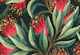 Pohutukawa Floral - Natural Red / Green