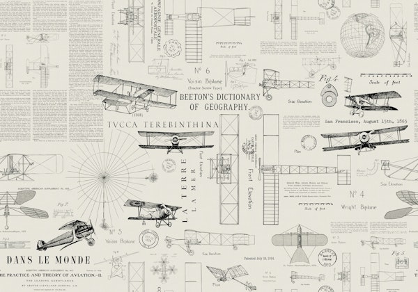 Historical Flight Insights Beige