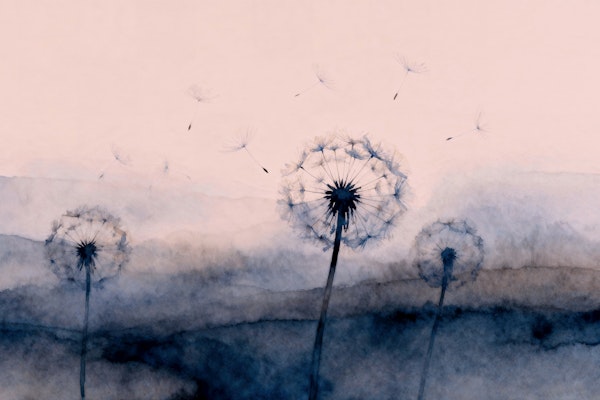 Whimsical Wildflowers