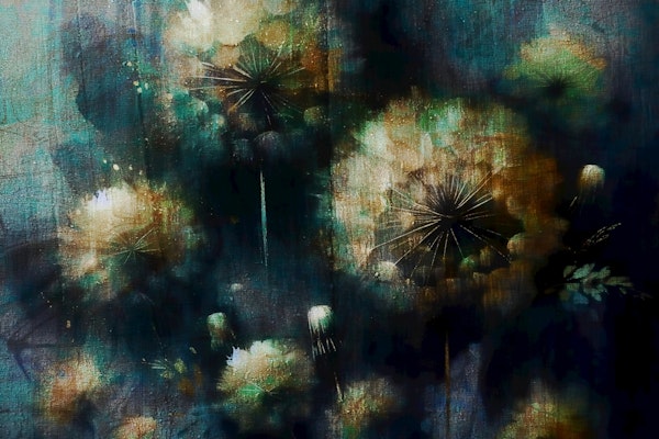 Dreamy Dandelion Meadow