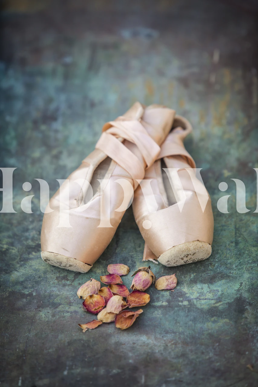 Sapatilhas de ponta e flores secas em um fotomural vinílico de fundo texturizado