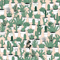 Succulents - white on peach tapete