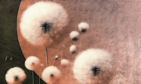 Ethereal Dandelions