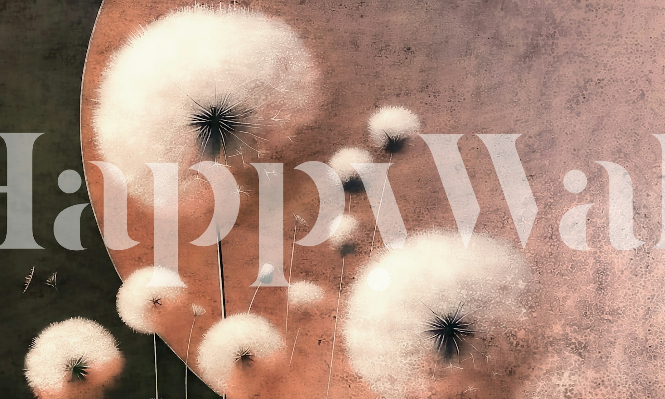 Dandelion flowers with fluffy white heads on a textured pink background wallpaper