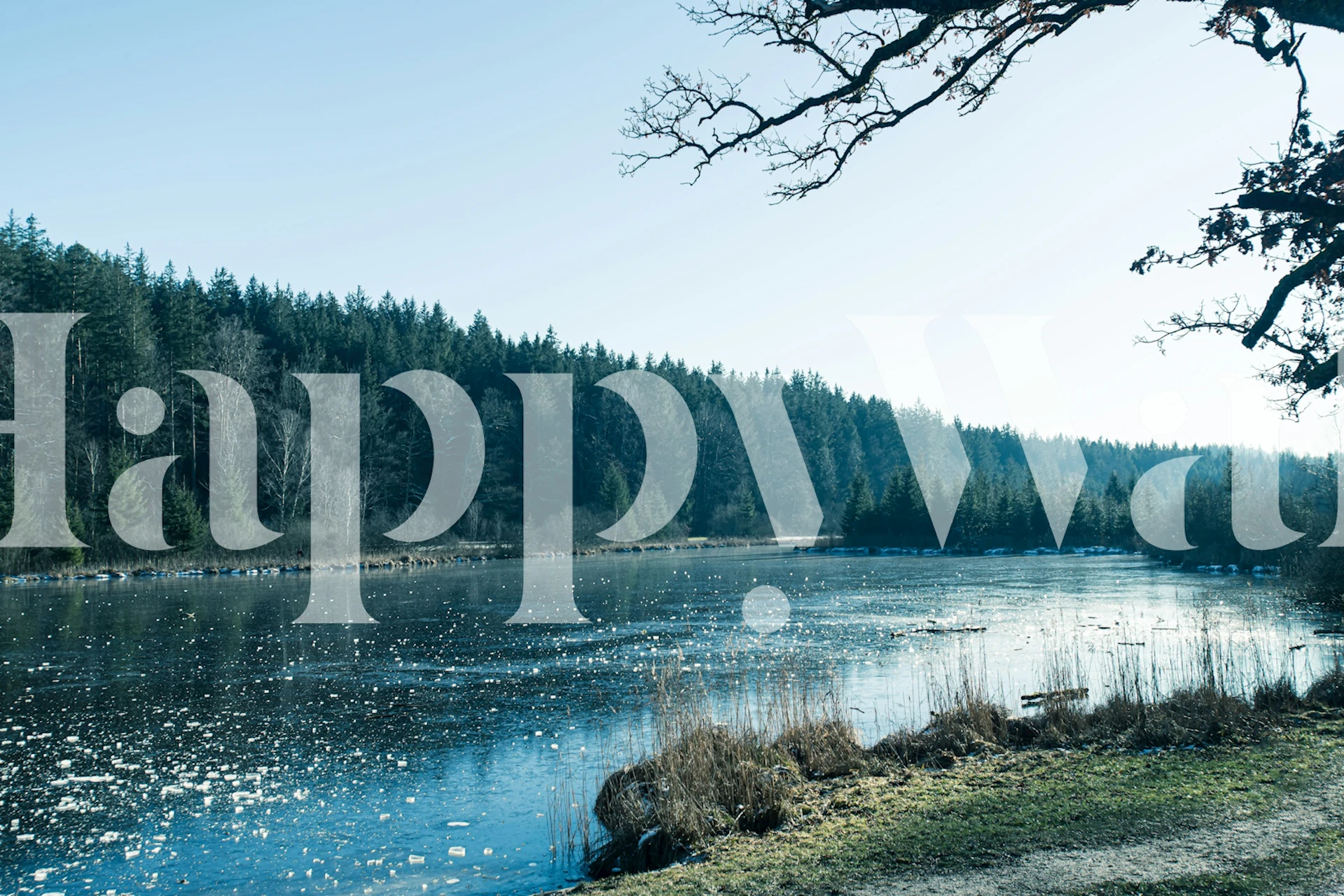 Serene winter lake with trees and icy surface wallpaper
