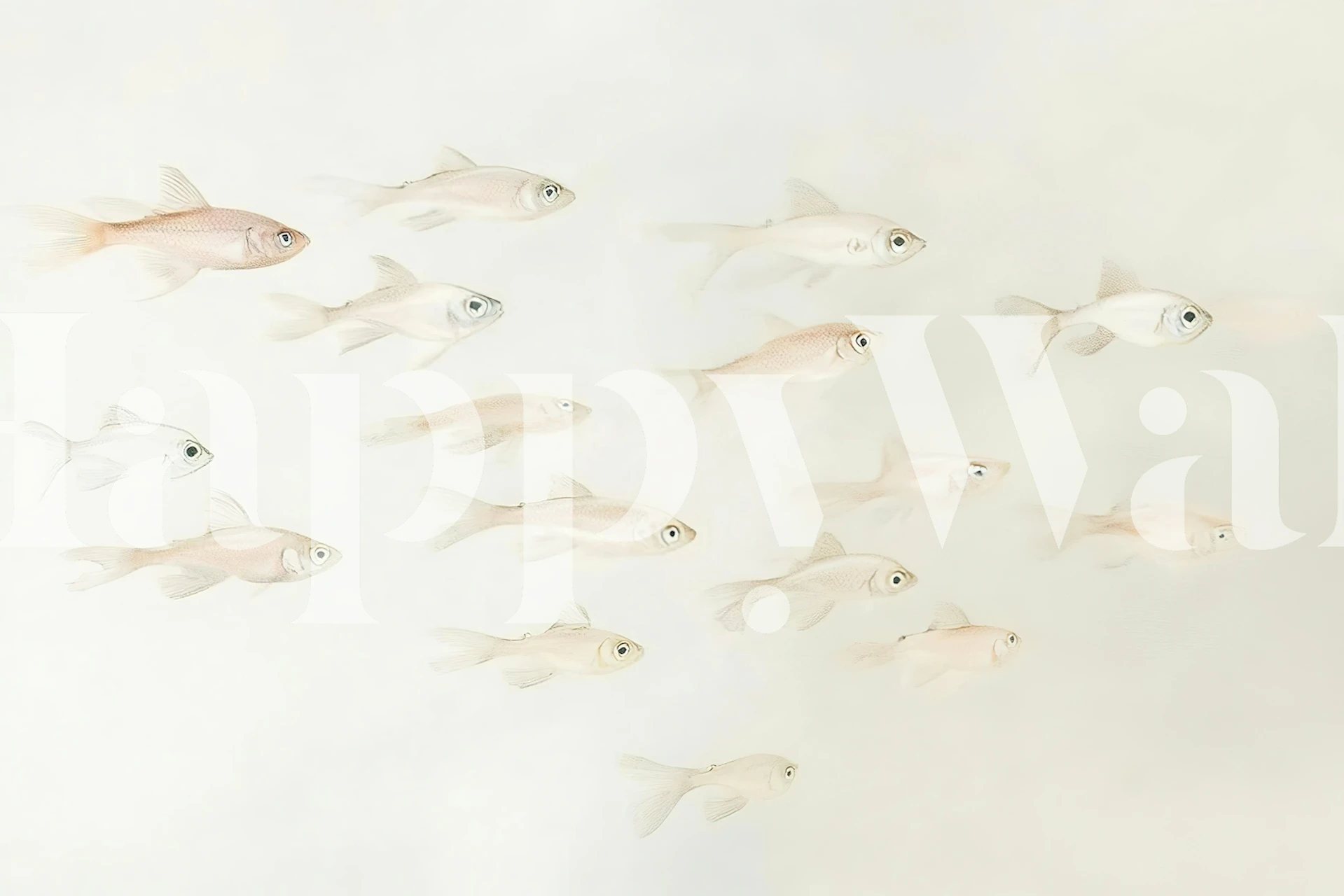 School of Fish wallpaper in een kamer