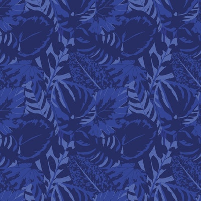 Modello