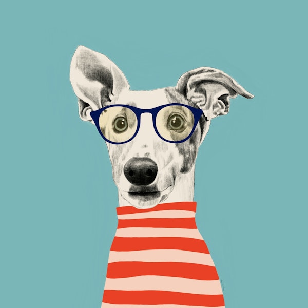 Trendy Canine in Glasses