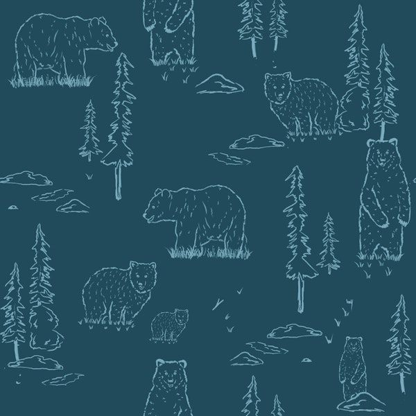 Forest Grizzly Bears Adventure - Blue