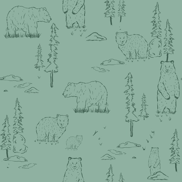 Forest Grizzly Bears Adventure - Green