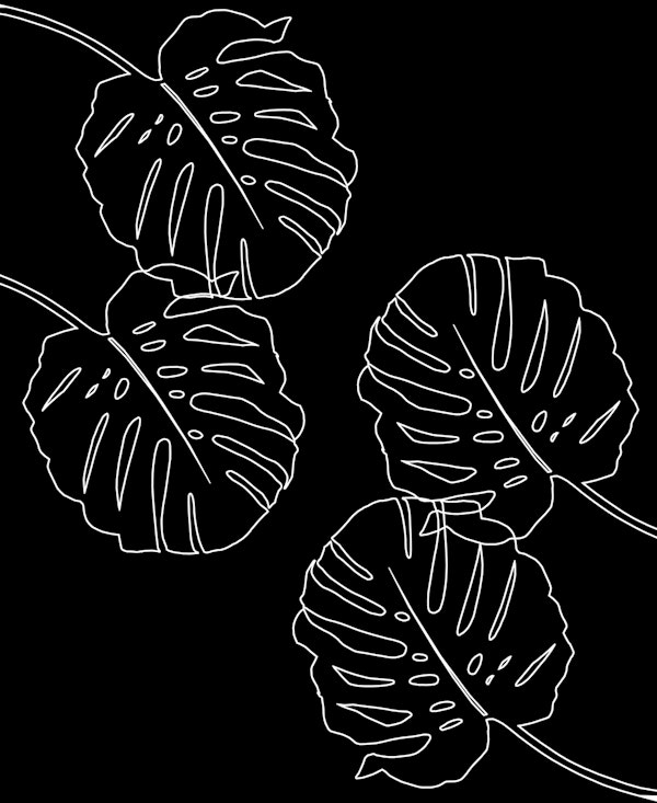 Monstera Leaves Finesse 3