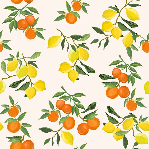 Lemon and Orange Bliss