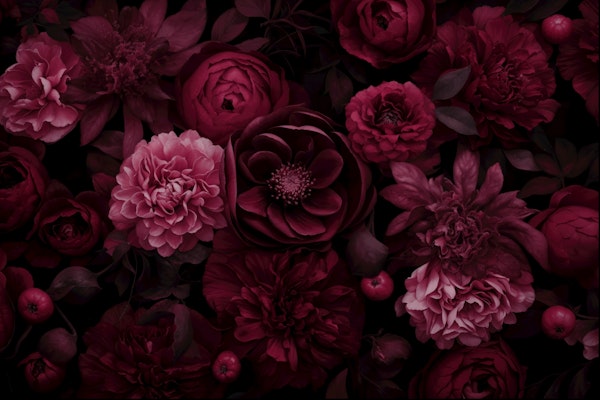 Victorian Opulence Large Flowers Burgundy Red