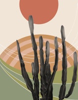 Cactus in the Desert 3 wallpaper