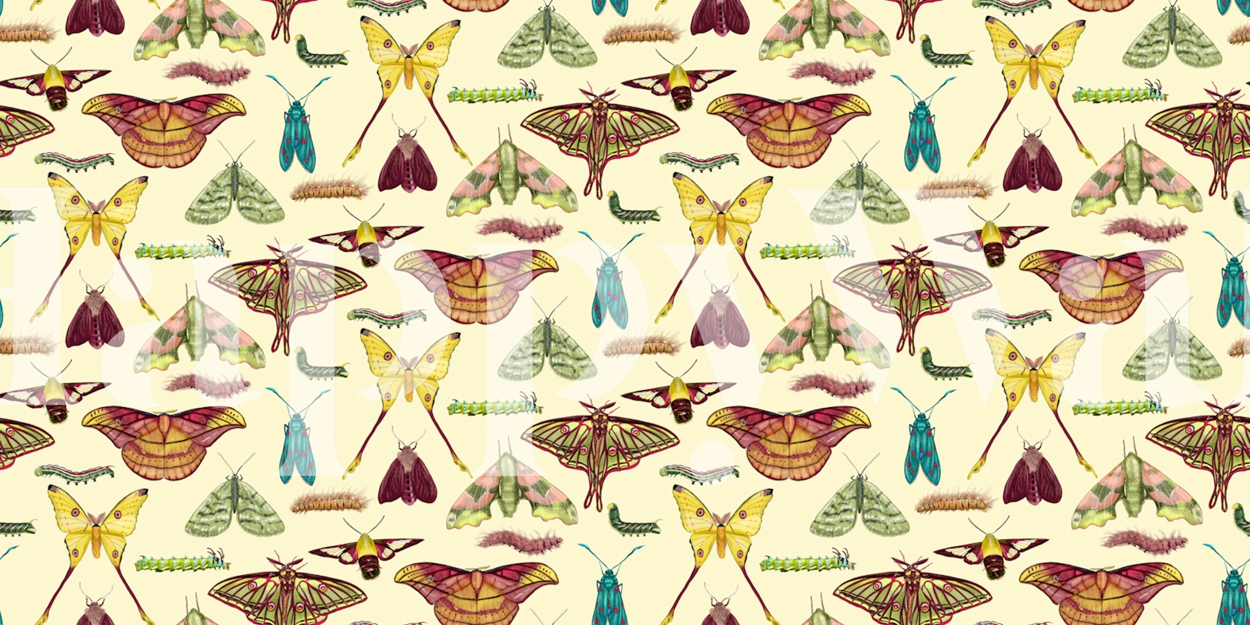 Colorful moths and caterpillars on a light background wallpaper