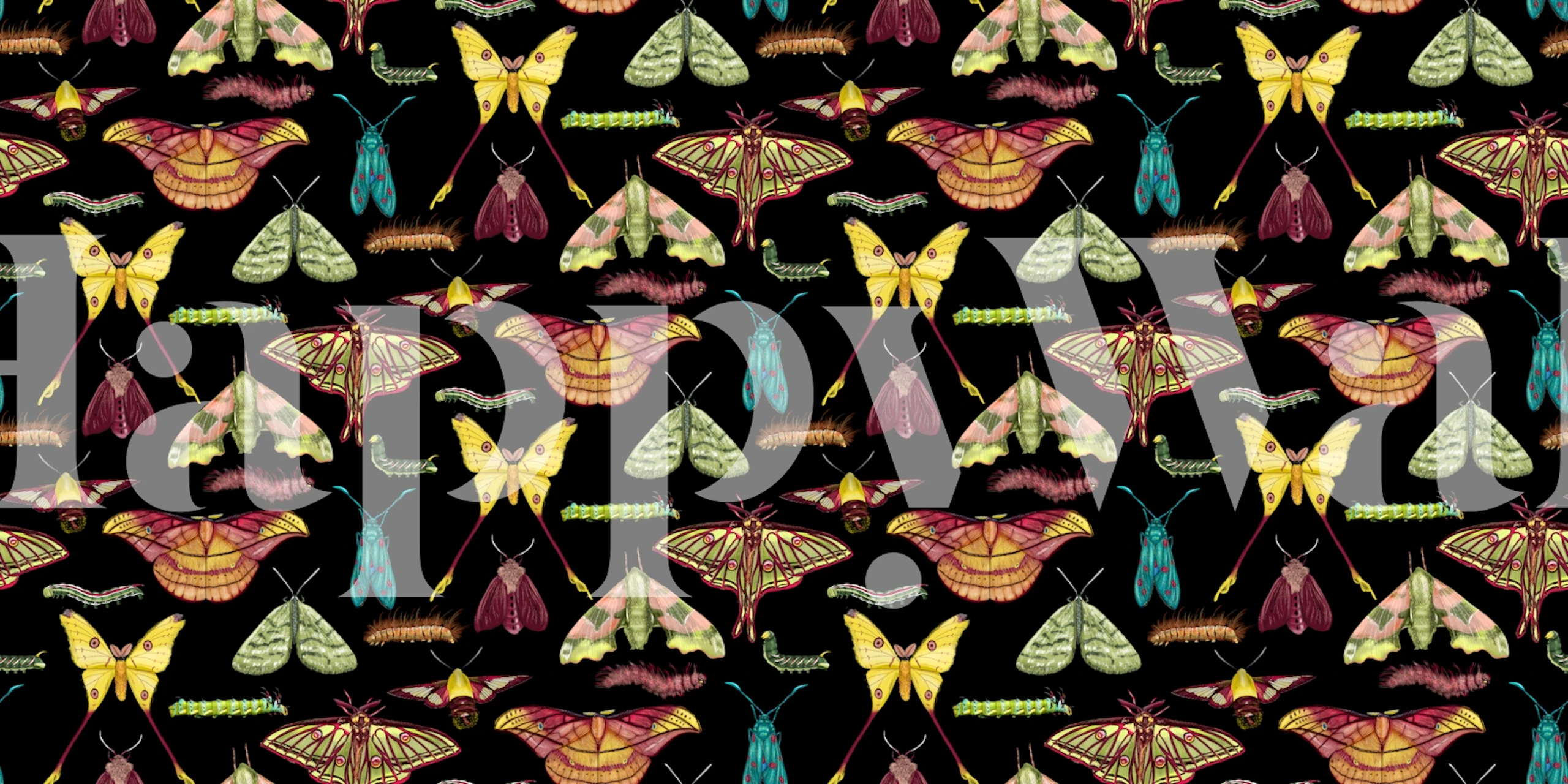 Moths Metamorphosis Montage wallpaper in a room