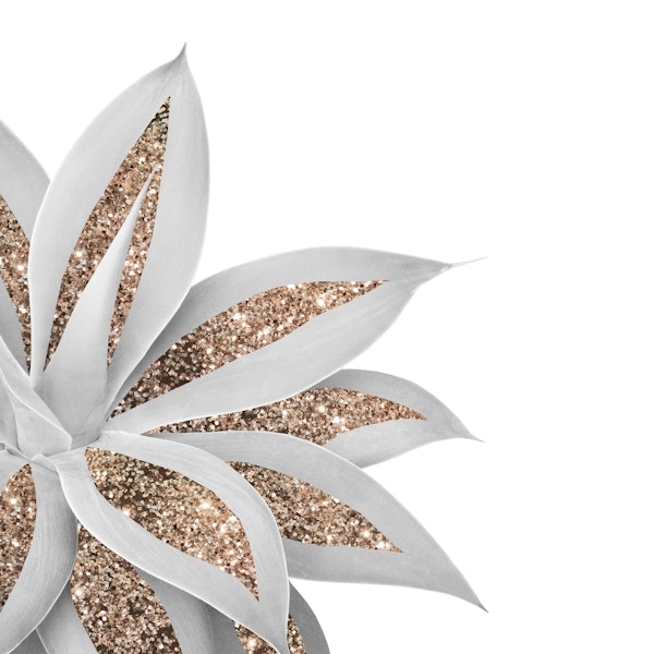 Agave Finesse Glitter Glam 9