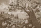 Peacock in Tranquil Garden Engrave