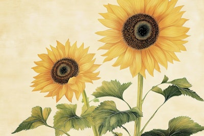 Mural