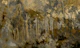 Golden Forest Dream
