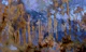 Ethereal Wilderness Forest