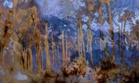 Ethereal Wilderness Forest tapete