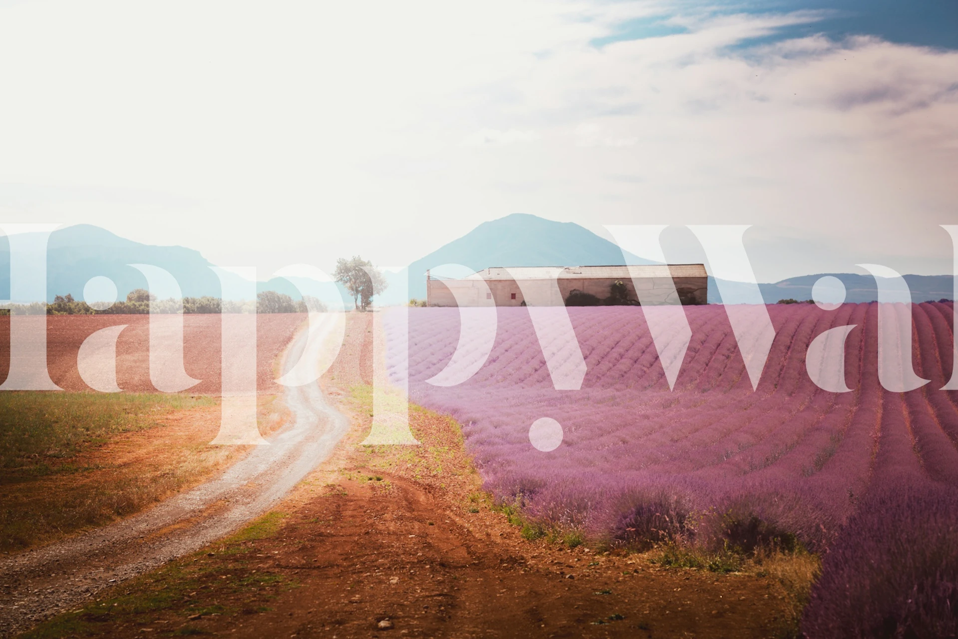 Lavender Horizon wallpaper in a room