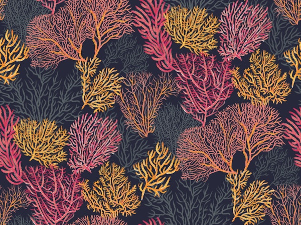 Gorgonia underwater garden