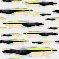 Animalia 02 carta da parati