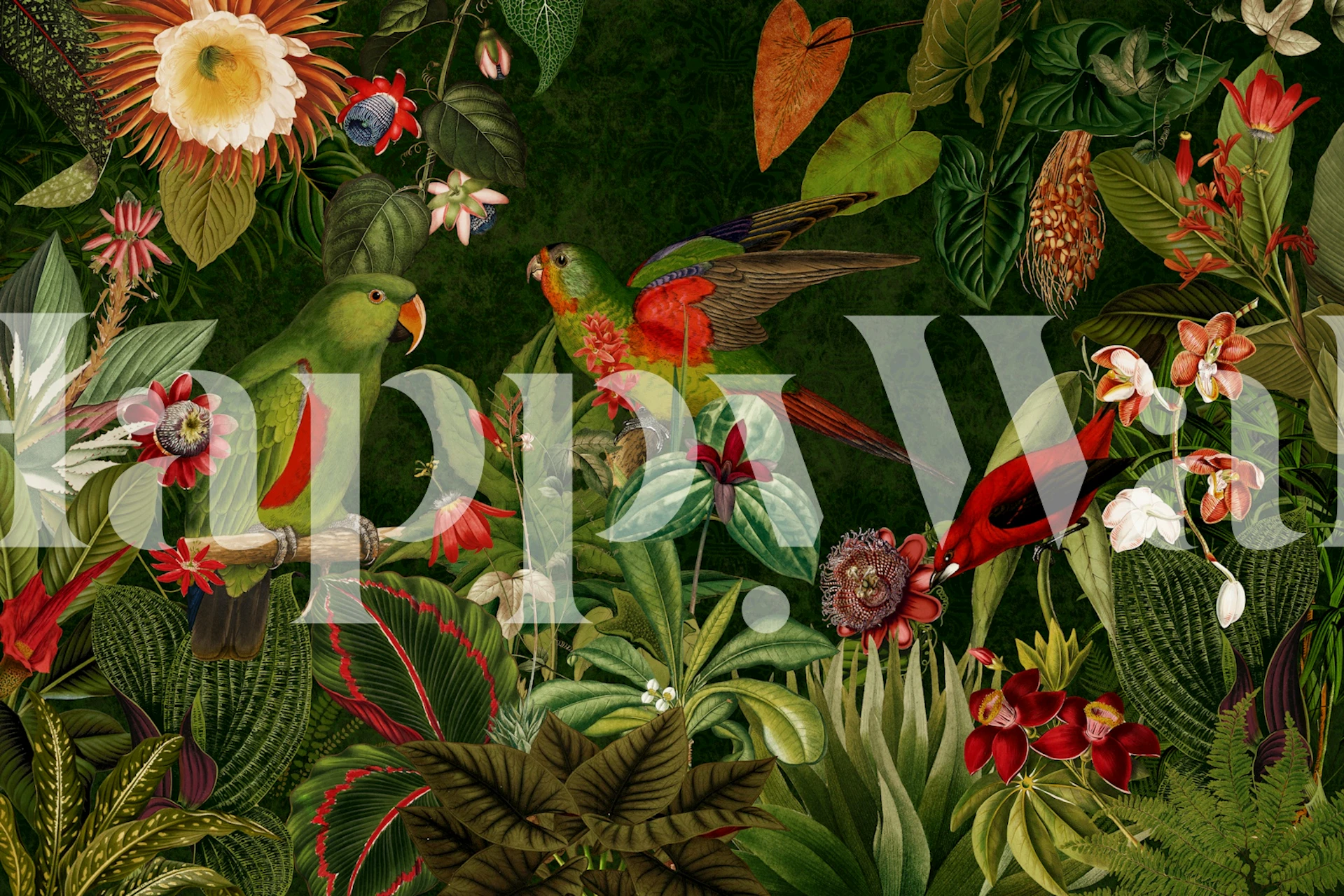 Vibrant vintage rainforest birds wallpaper on display