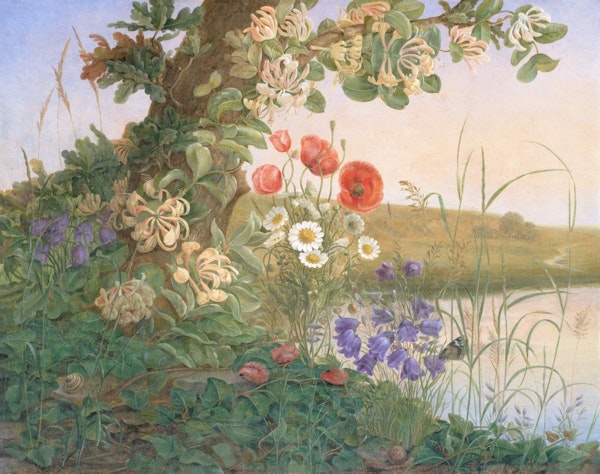 Pastoral Summer Meadow Dream