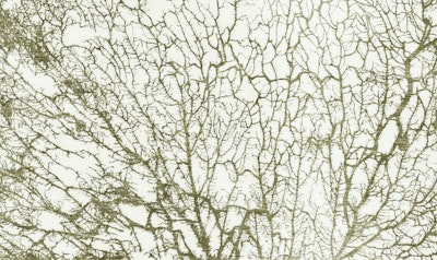 general.design-type-header-mural