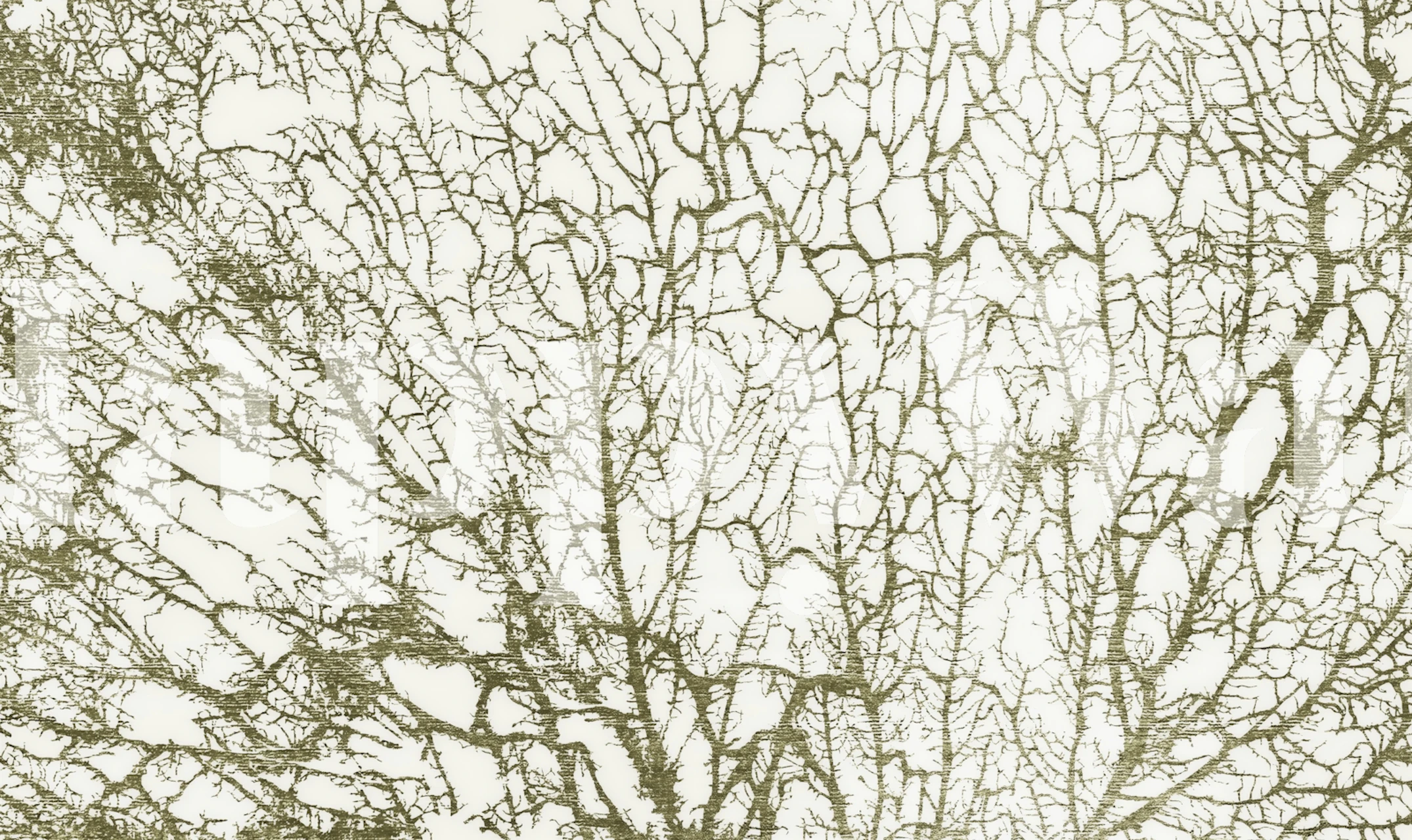 Green Abstract Forest Moss wallpaper in a room