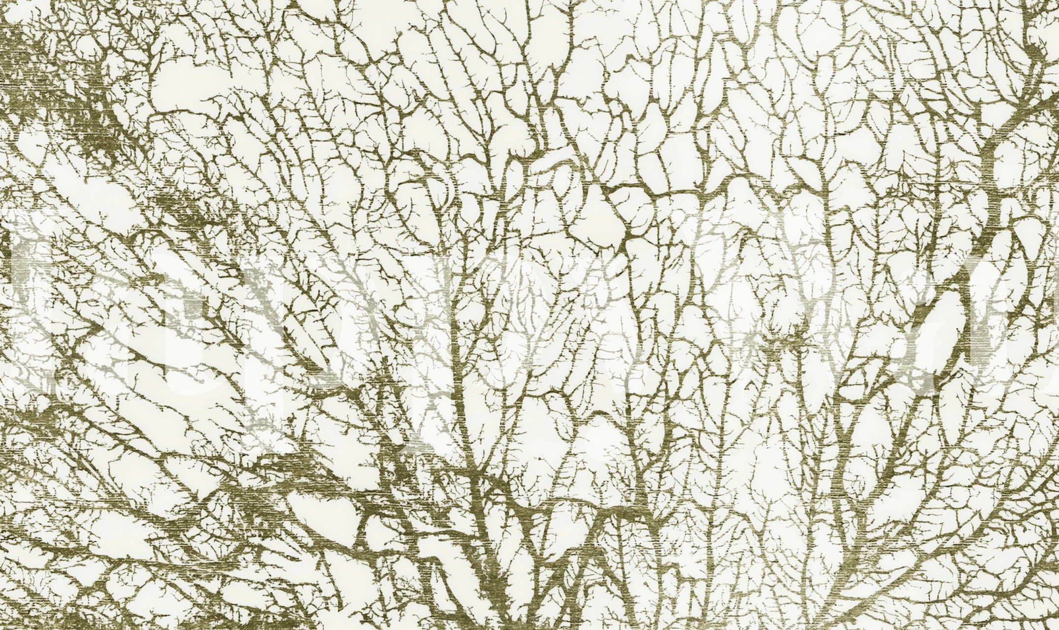 Green Abstract Forest Moss wallpaper in a room