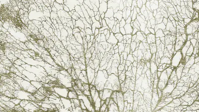 Motif horizontal
