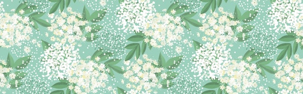 elderflower on light mint
