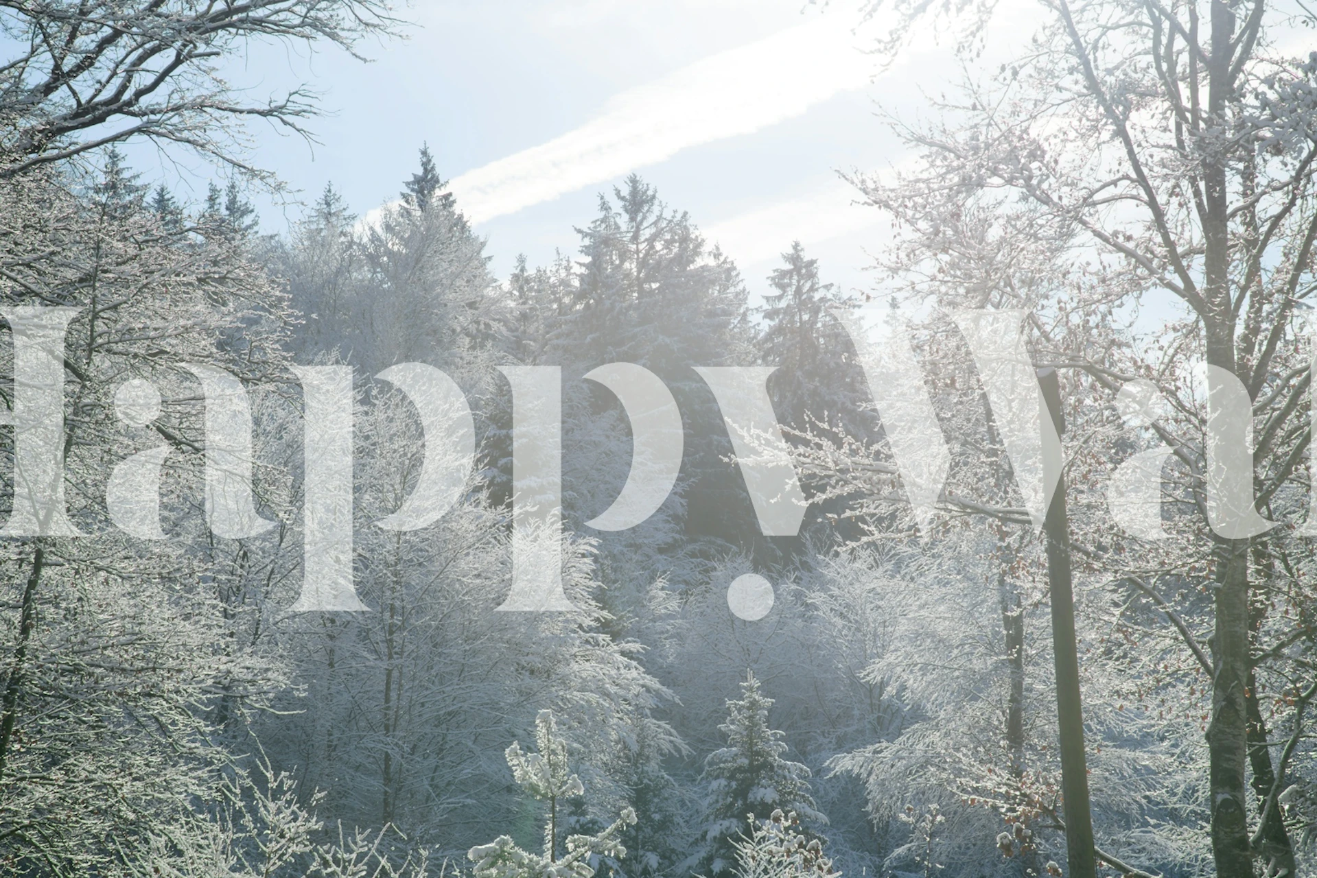 Snowy Woods Tranquility-tapet i ett rum