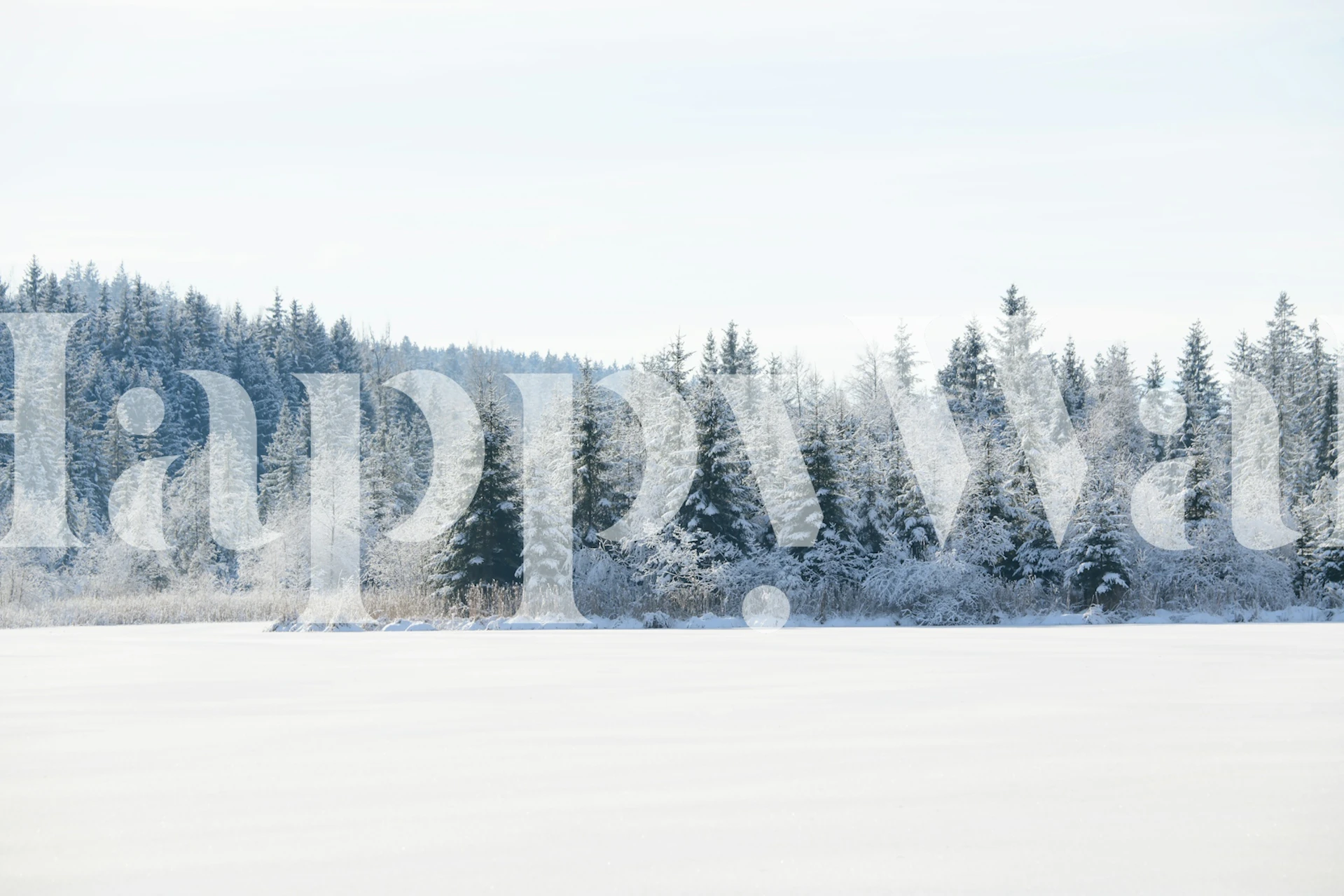 Snowy pine trees wallpaper i et rum