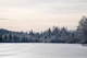 Pastel Snowy Pine Trees Dream 1