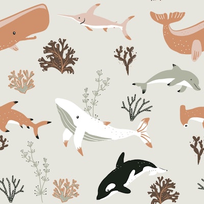 Pattern