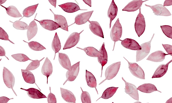 Scattered Leaves Autumn